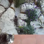 Le Terrazze Sul Mare Hébergement de vacances *